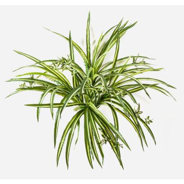 Umělá zelená lilie KOCHAB, na zápichu, zelenožlutá, 55cm Umělá zelená lilie KOCHAB, na zápichu, zelenožlutá, 55cm