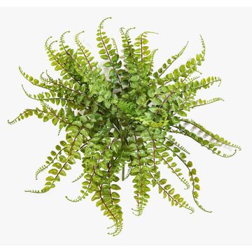 Dekorační knoflíková kapradina IMAI na zápichu, zelená, 40cm, Ø50cm Dekorační knoflíková kapradina IMAI na zápichu, zelená, 40cm, Ø50cm