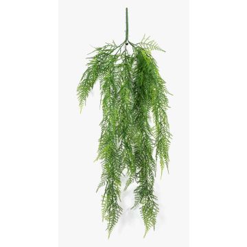 Umělý asparagus plumosus ALRISCHA, 75cm Umělý asparagus plumosus ALRISCHA, 75cm