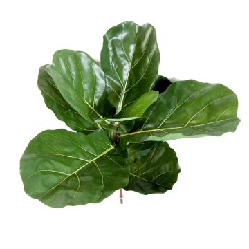 Umělý ficus lyrata ATIKA na zápichu, zelený, 60cm Umělý ficus lyrata ATIKA na zápichu, zelený, 60cm