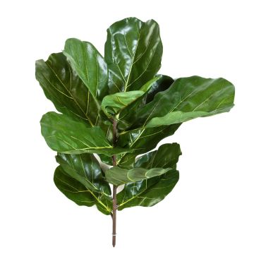 Umělý ficus lyrata ATIKA na zápichu, zelený, 75cm Umělý ficus lyrata ATIKA na zápichu, zelený, 75cm