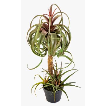Umělá tillandsia streptophylla ELGAFAR, zeleno-červená, 80cm
