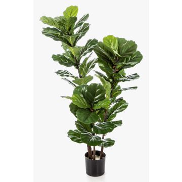 Umělý Ficus Lyrata GUDJA, umělé kmeny, zelené, 130cm Umělý Ficus Lyrata GUDJA, umělé kmeny, zelené, 130cm