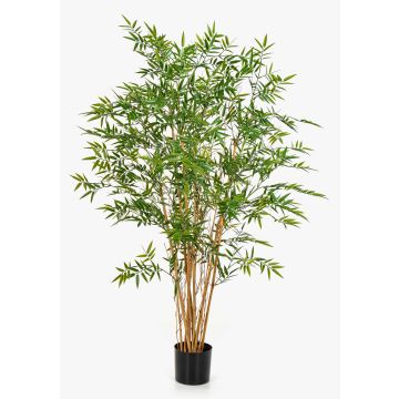 Umělý bambus HATYSA, přírodní kmen, 150cm Umělý bambus HATYSA, přírodní kmen, 150cm