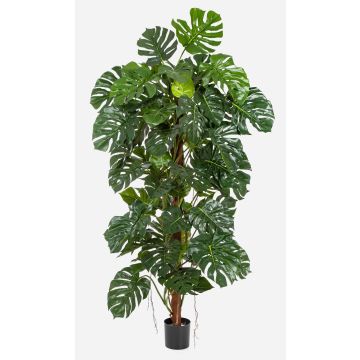 Umělý filodendron monstera deliciosa MEBSUTA, 190cm Umělý filodendron monstera deliciosa MEBSUTA, 190cm