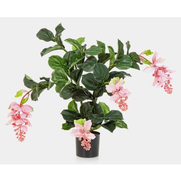 Umělá medinilla ALDORA, růžová, 75cm