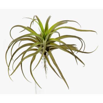 Umělá tillandsia stricta PROPUS na zápichu, zelenohnědá, 25cm Umělá tillandsia stricta PROPUS na zápichu, zelenohnědá, 25cm