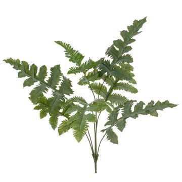 Dekorativní phlebodium EYMEN na zápichu, zelená, 65cm