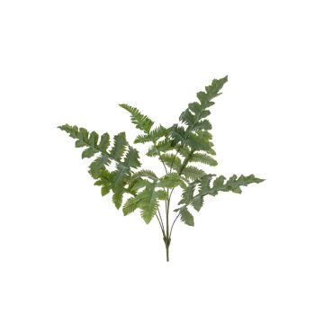 Dekorativní phlebodium EYMEN na zápichu, zelená, 65cm