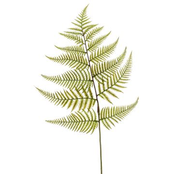 Dekorační ledviník MBALI, zelený, 80cm Dekorační ledviník MBALI, zelený, 80cm