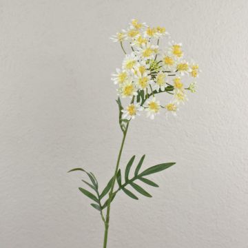 Umělý květ kopru AMLA, krémově žlutý, 75cm, Ø15cm Umělý květ kopru AMLA, krémově žlutý, 75cm, Ø15cm