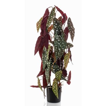 Umělá begonie tečkovaná MICHIKO, zeleno-bílá, 75cm Umělá begonie tečkovaná MICHIKO, zeleno-bílá, 75cm