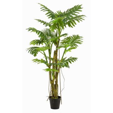 Umělý filodendron selloum EDHEM, 195cm Umělý filodendron selloum EDHEM, 195cm