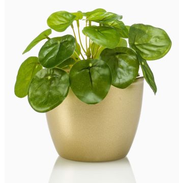 Umělá pilea SYBIL v keramickém zlatém květináči, zelená, 13cm