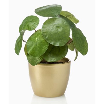 Umělá pilea SYBIL v keramickém zlatém květináči, zelená, 20cm