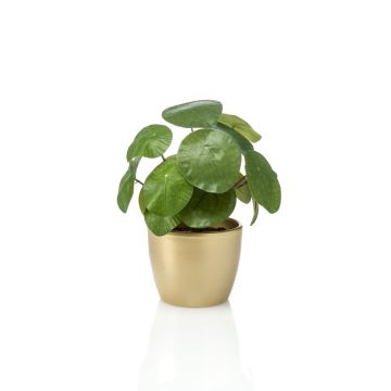 Umělá pilea SYBIL v keramickém zlatém květináči, zelená, 20cm