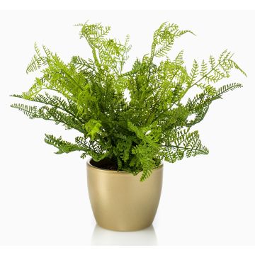 Umělá kapradina HANNU v keramickém květináči zlatá, zelená, 40cm