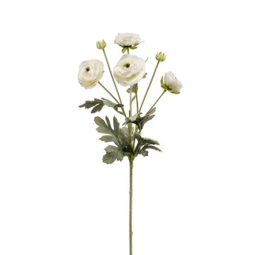 Umělý ranunculus HIBBA, krémový, 65cm Umělý ranunculus HIBBA, krémový, 65cm