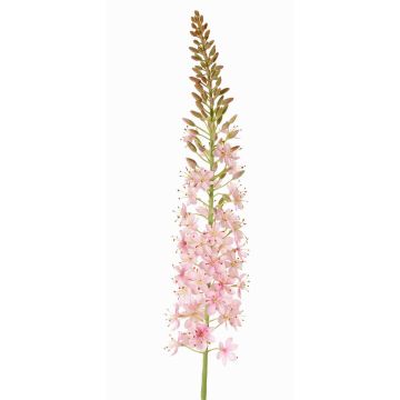 Plastová prošívaná svíčka SELINA, světle růžová, 105cm, Ø9cm Plastová prošívaná svíčka SELINA, světle růžová, 105cm, Ø9cm