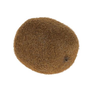 Plastové kiwi SURATA, hnědé, 6cm Plastové kiwi SURATA, hnědé, 6cm