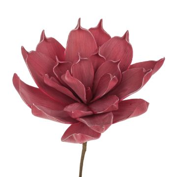 Umělá rostlina aloe vera LIERA, fialová, 30cm