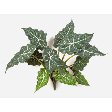 Umělá Alocasia Sanderiana ORLANDA, zelenobílá, 60cm Umělá Alocasia Sanderiana ORLANDA, zelenobílá, 60cm