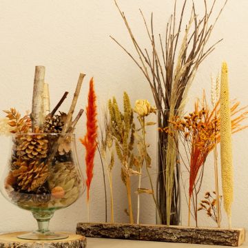 Přírodní pozdně letní sen