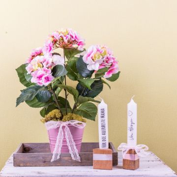 Pro tu nejlepší maminku!