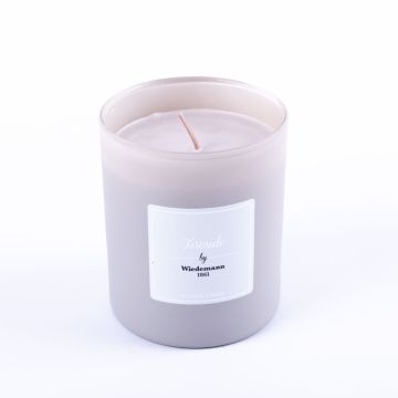 Vonná vosková svíčka MIREYA ve sklenici, Fireside, šedá, 9,3 cm, Ø 7,9 cm, 35 h