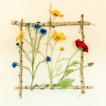 Zarámovaná louka s květinami Zarámovaná louka s květinami