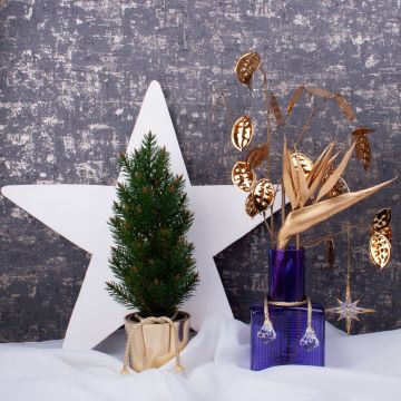 Vánoční královský Vánoční královský