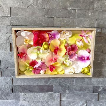 DIY - nástěnný obraz Orchid Art - exotické orchidejové květy v dřevěném rámu
