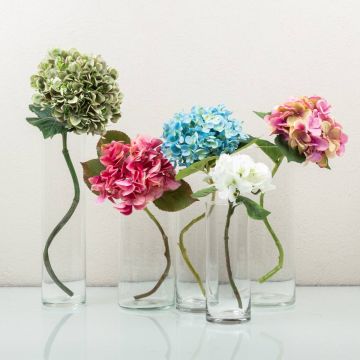 Tančící hortenzie