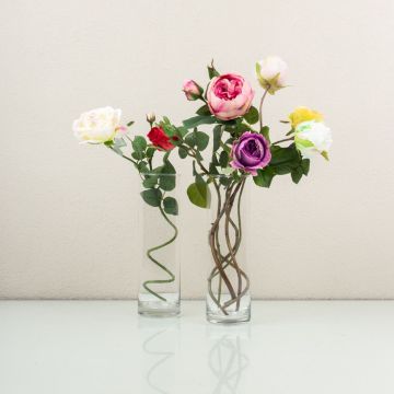 Volba Šípkové Růženky Volba Šípkové Růženky