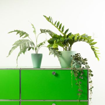 Domov-Kancelář-Luxusní