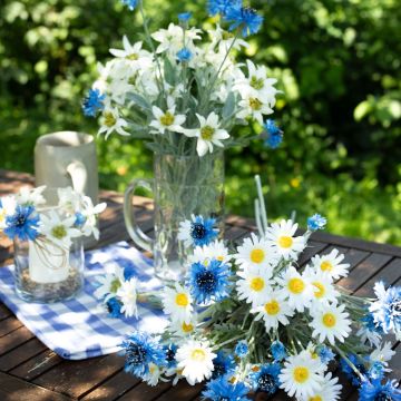 Oktoberfest - O'zapft je Oktoberfest - O'zapft je