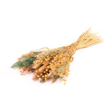 Sušená kytice DILIANE, petrolejově zelená-přírodní, 50cm, Ø15cm Sušená kytice DILIANE, petrolejově zelená-přírodní, 50cm, Ø15cm