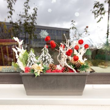 Zimní nálada - balkonová krabička Zimní nálada - balkonová krabička