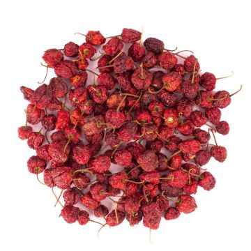 Sušené kulaté chilli papričky ANNELIESE, červené, Ø 1–3 cm, 200 g Sušené kulaté chilli papričky ANNELIESE, červené, Ø 1–3 cm, 200 g