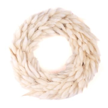 Sušený věnec Lagurus RIKARDA, krémový, Ø 25 cm Sušený věnec Lagurus RIKARDA, krémový, Ø 25 cm