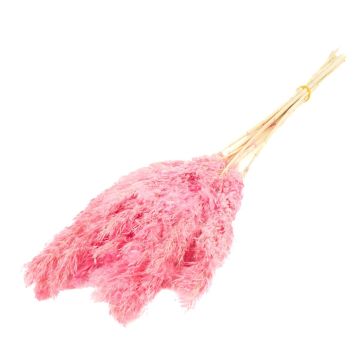Sušený svazek rákosu DONJETA, růžový, 70-80cm, Ø15cm