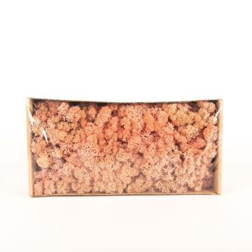 Pravý islandský mech SVEINBJÖRN, růžový, 500g