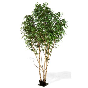 Umělá stříbrná bříza ILSEDORE, přírodní stonky, zelená, 500cm - Vyrobeno v Itálii