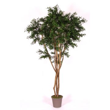 Umělá akácie ANDRIY s pravými kmeny, křížová dvířka, zelená, 300cm - Vyrobeno v Itálii Umělá akácie ANDRIY s pravými kmeny, křížová dvířka, zelená, 300cm - Vyrobeno v Itálii