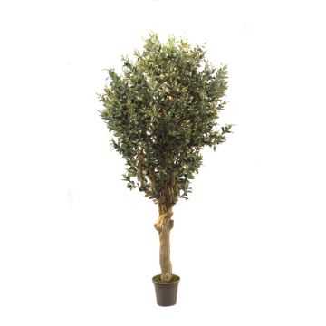 Umělý olivovník CECILIO, pravý kmen, s plody, 200 cm - vyrobeno v Itálii