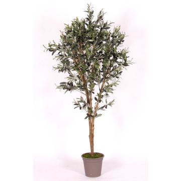 Umělý olivovník MIANA, přírodní kmeny, s plody, 100 cm - vyrobeno v Itálii