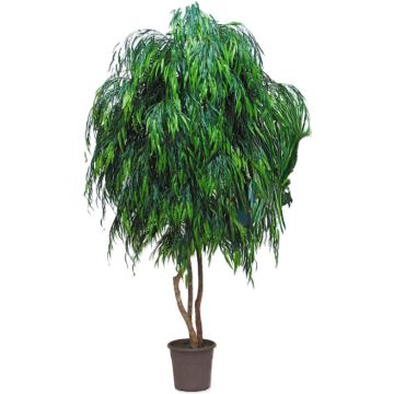 Umělá smuteční vrba NADESCHA, přírodní stonky, zelená barva, křížová dvířka, 275 cm - vyrobeno v Itálii