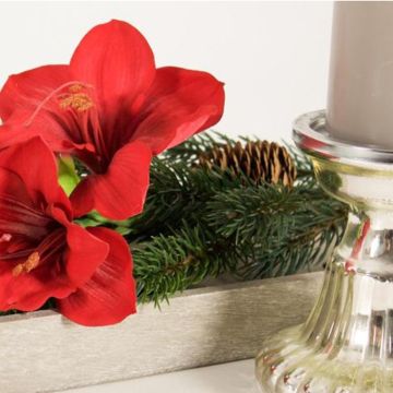 Stylový začátek adventu Stylový začátek adventu