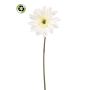 Umělá gerbera FRALWE, Eco Collection, bílá, 65cm, Ø13cm
