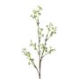 Dekorativní větvička gypsophily BRISLO, bílá, 65cm